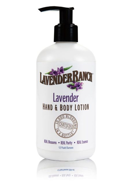 Lavender Hand & Body Lotion - 12oz