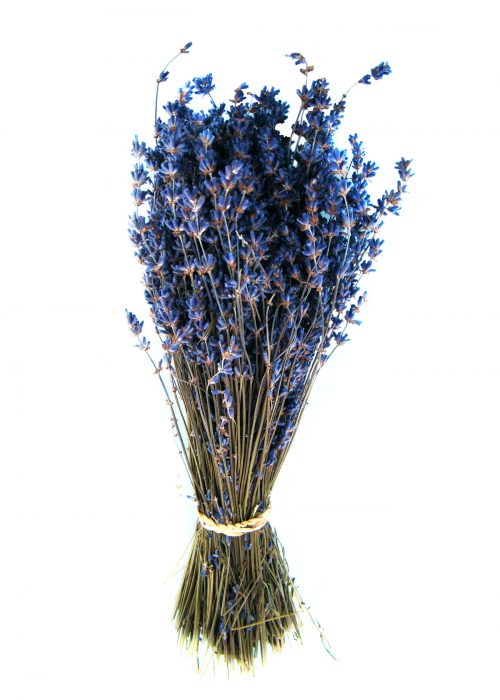 Lavender-Bouquet
