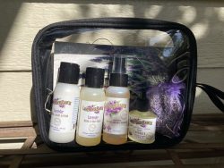 Travel Size Toiletries & Kits
